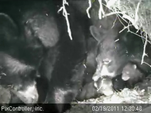 Lily_et_al_-_20110219_123048