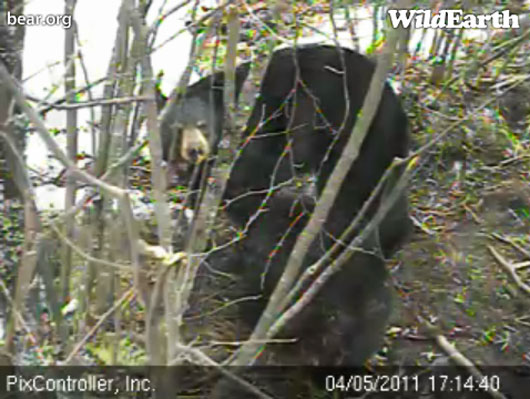 Lily_facing_-_20110405_171440