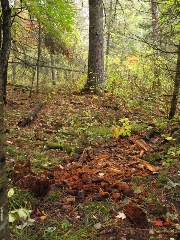 Lilys bedsite_-_20110922