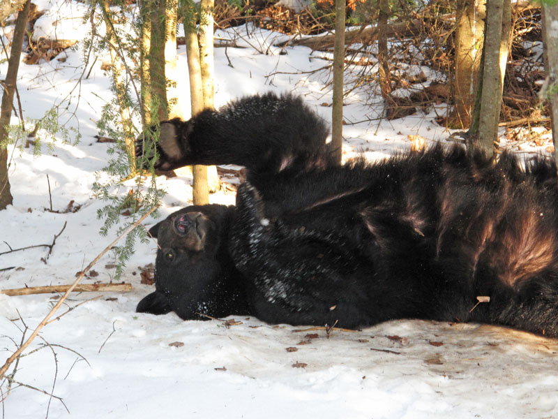 Lucky - Feb 19, 2012