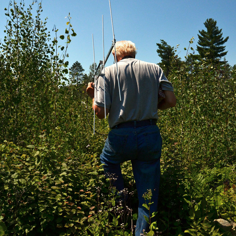 Lynn Rogers - July 16, 2012