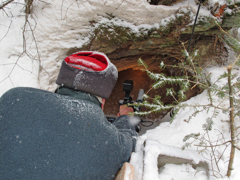 Lynn filming at Jewel's den - march 8, 2012