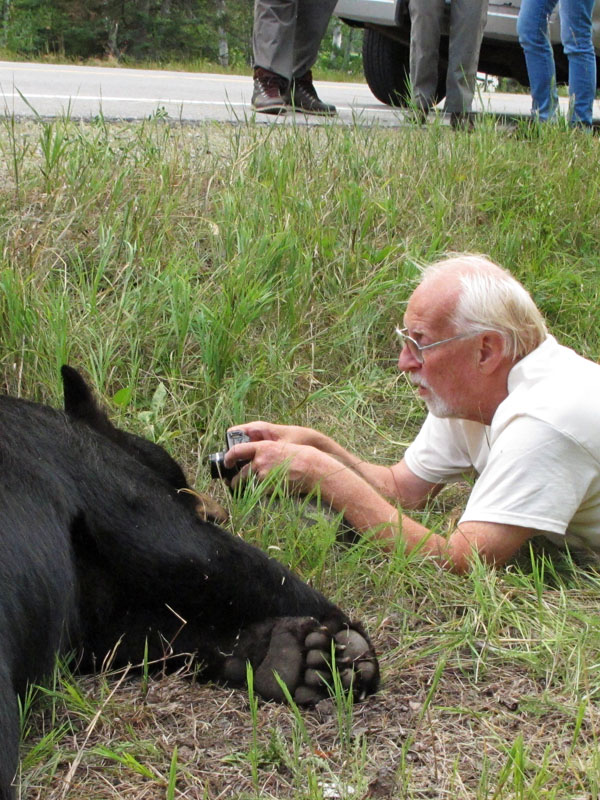 Lynn taking closeup picture of dead bear - Aug 2, 2012