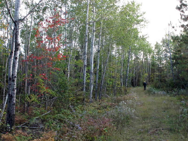 Lynn walking out of the woods - Sept 13, 2012