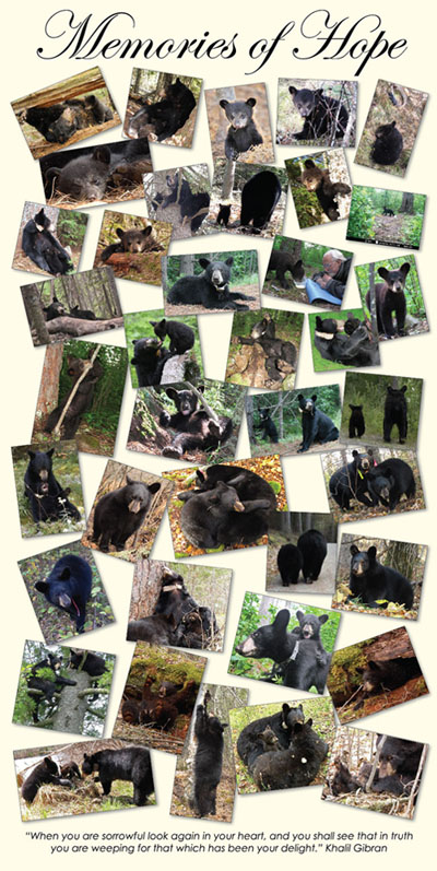 Lily & Family calendar 'Memories of Hope'