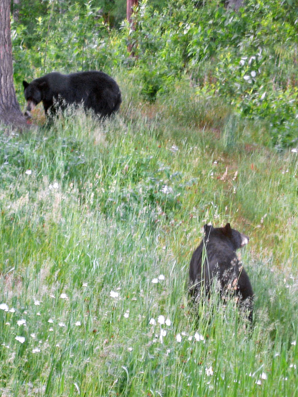 Midge turns away from Blackheart - July 1, 2004