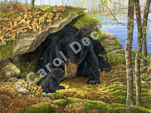 NABC_watermarked_print_of_Lily_and_Hope_at_the_Den_2010