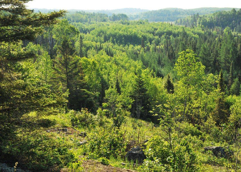 Overlook - June 7, 2012