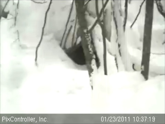 PTZ_shot_-_20110123_103719