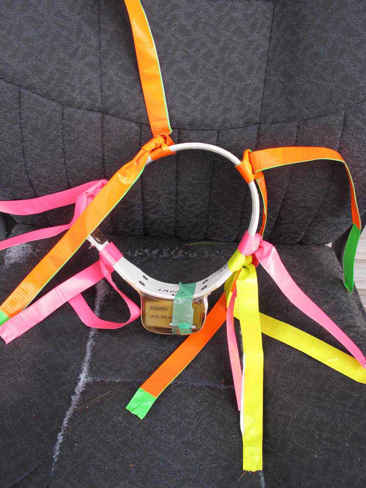 Radio-collar_w_ribbons_lo_res
