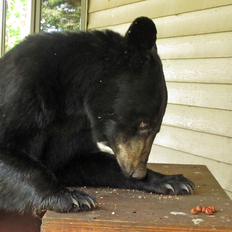 Samantha on scale - July 4, 2012