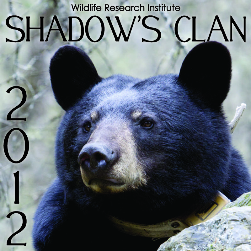 Shadows Clan_2012_cover