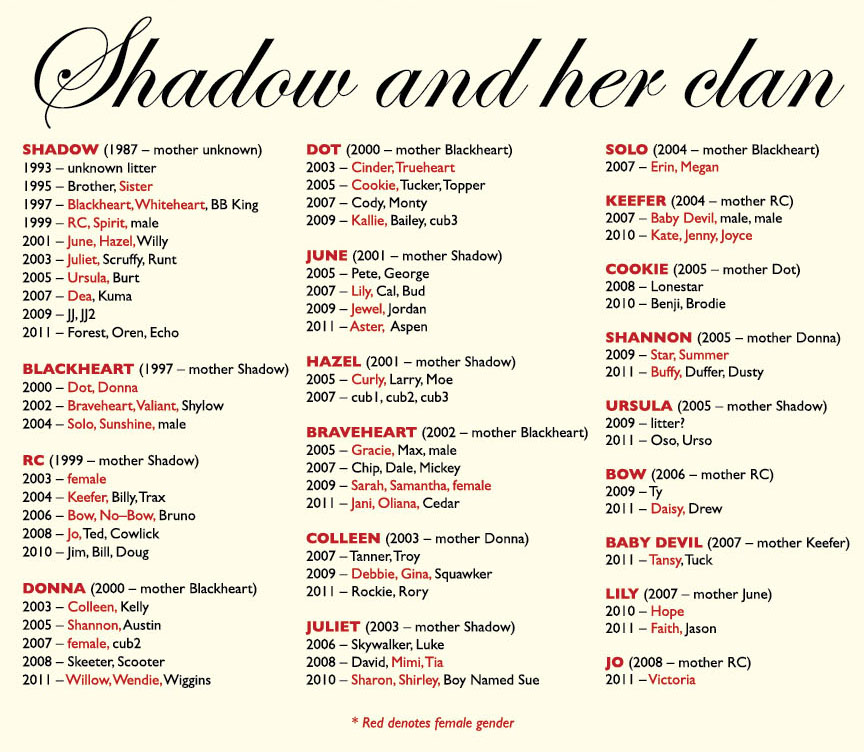 Shadows Clan Family Tree