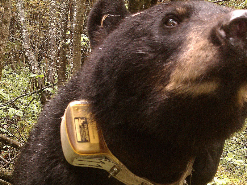 Sharon - June 6, 2012