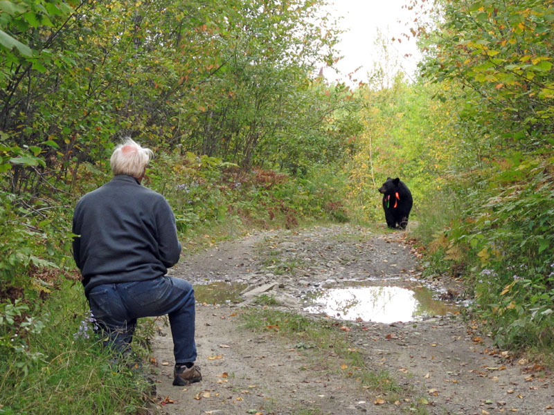Sharon approaching Lynn - Sept 12, 2012