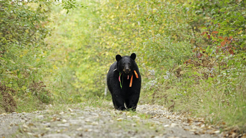 Sharon approaching - Sept 12, 2012