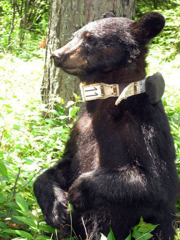 Sharon sitting up - June 24, 2012