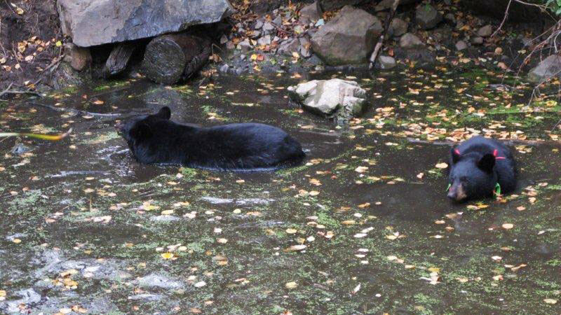 Shirley__Jim_9-12-11