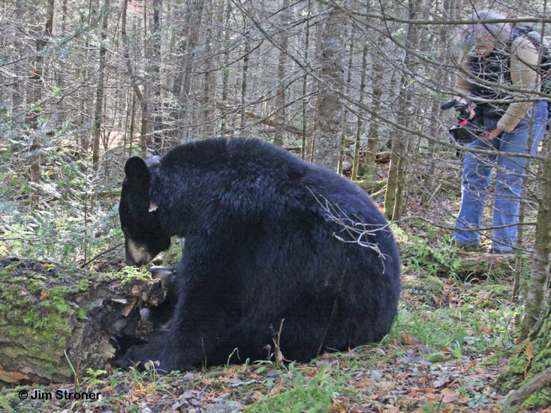 Sue walking with and videoing Jo and Victoria