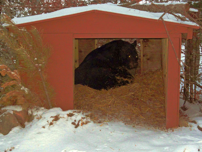 Ted in den - Dec 29, 2011