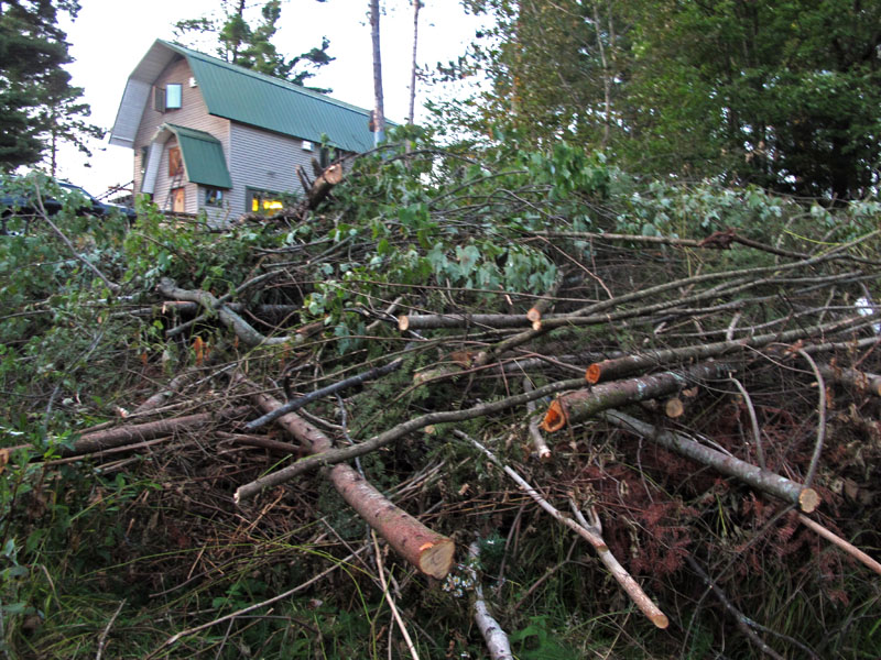 WRI brushpile - Sept 5, 2012