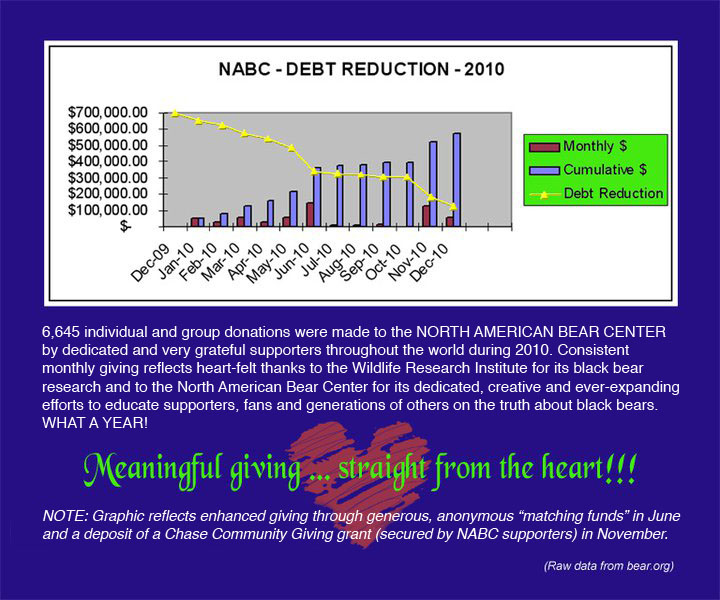 debt_reduction_pic_n_fixed