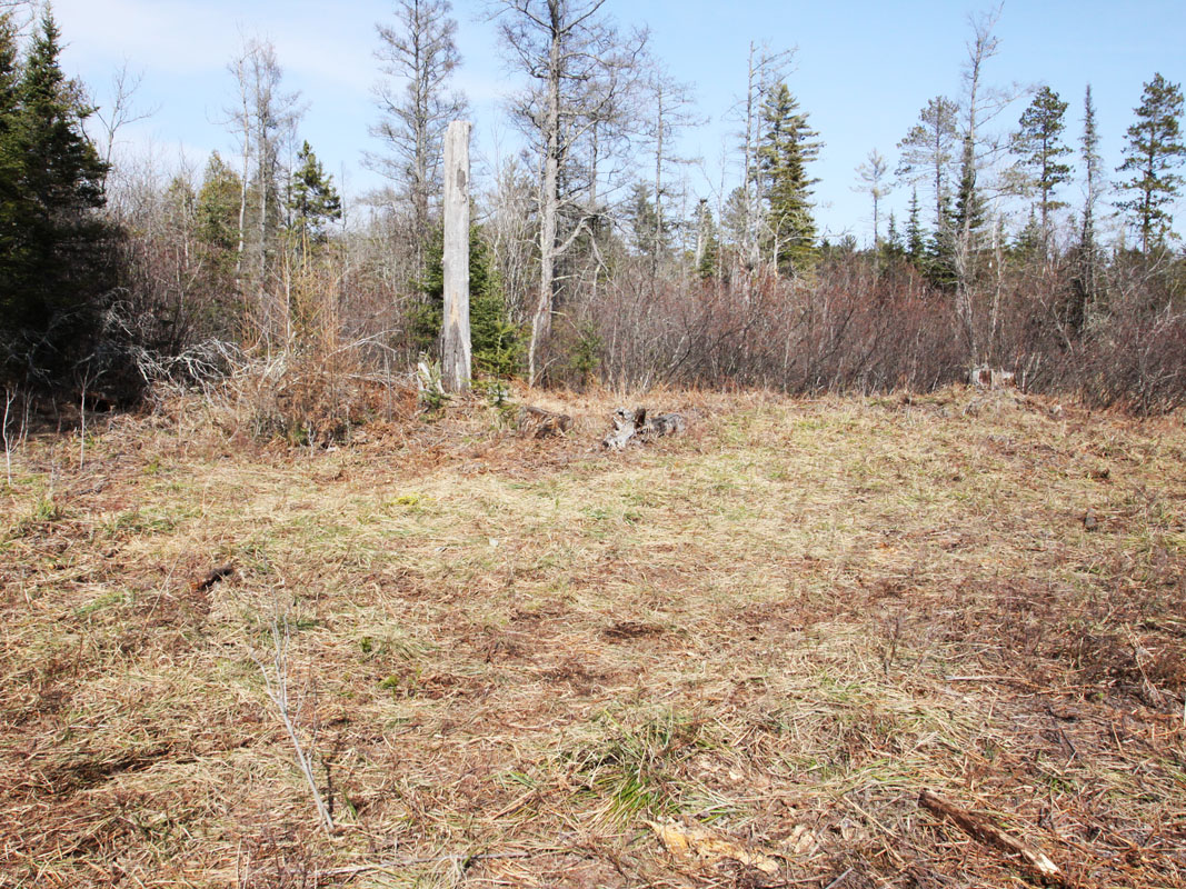 den_shed_site_after_-_20110412