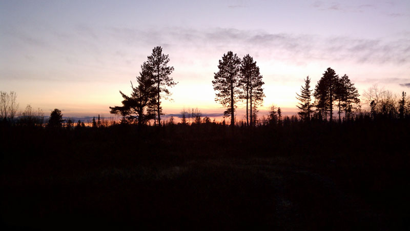 evening sky