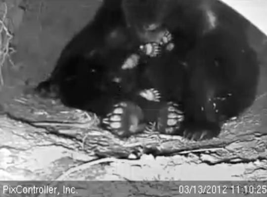 Feet! - March 13, 2012