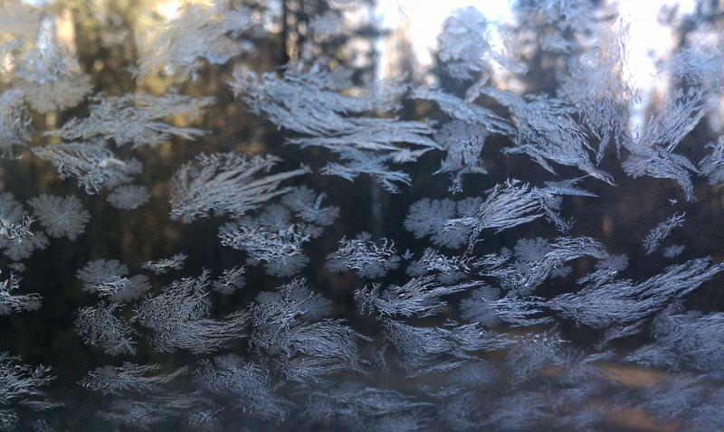 morning frost_-_20111103