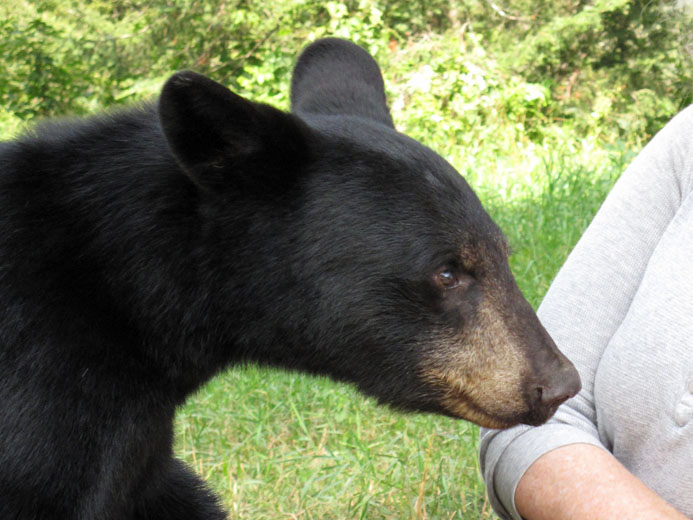 the REAL Oliana - July 31, 2012