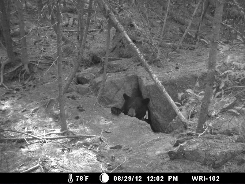 June checks out Lily's den