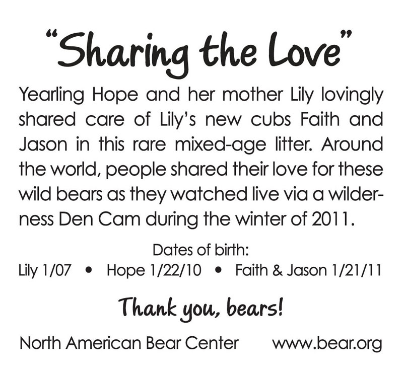 sharing_the_love_mug_text