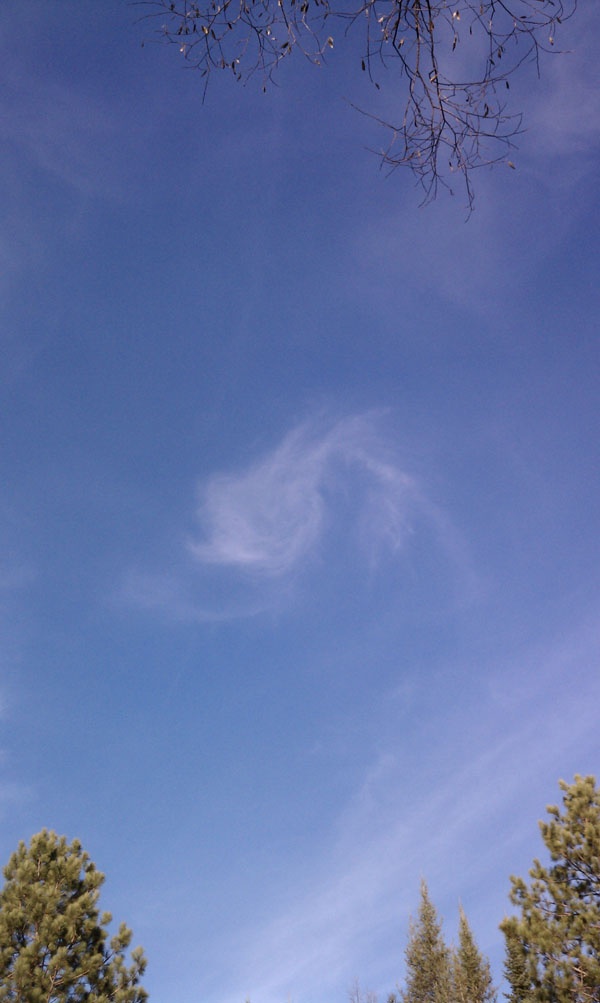 Maybe the world does revolve around Ely, Minnesota!