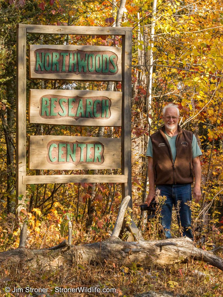 Lynn by WRI Sign - 2012