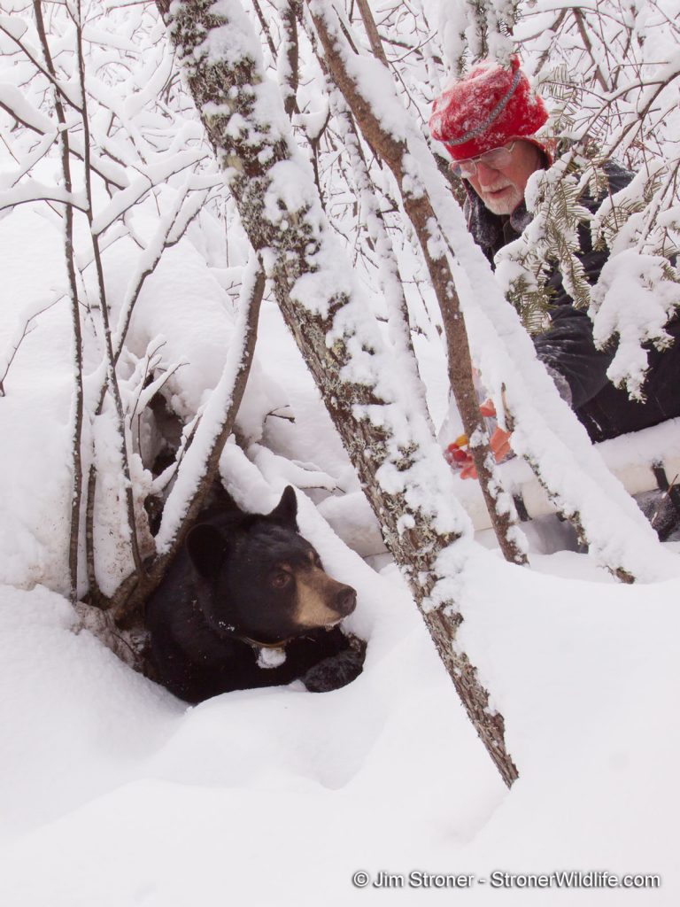 Lynn with Lily at den cam – 2010