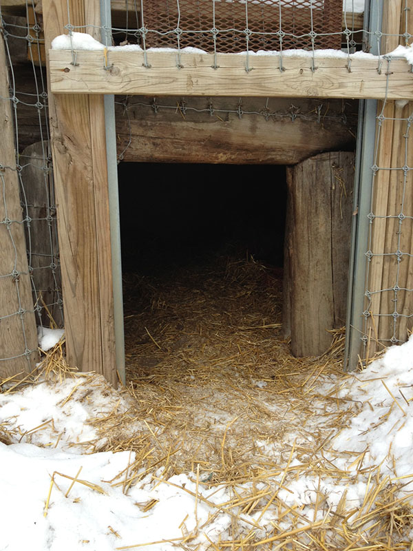 Honey's den - Jan 8 2013