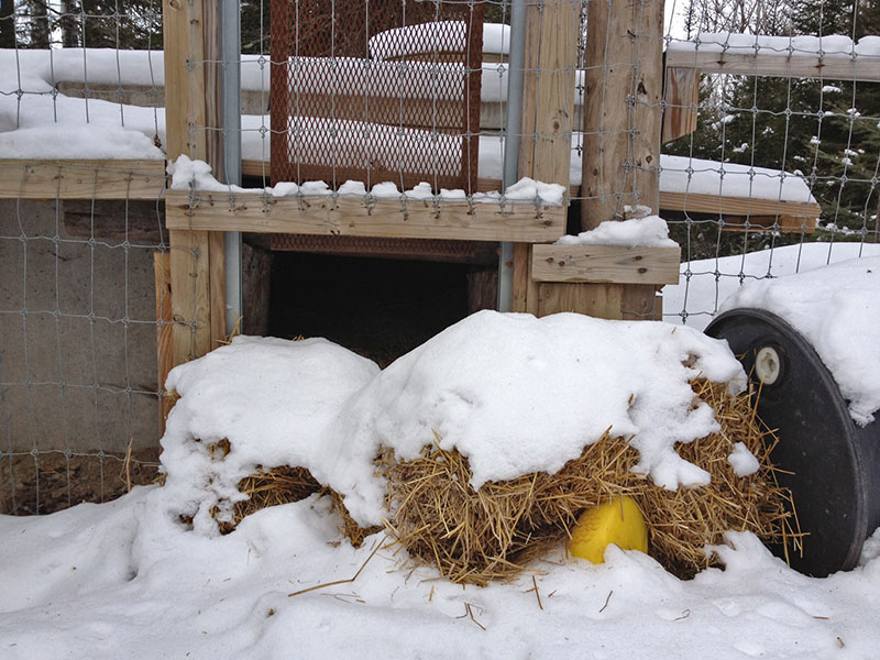 Lucky? You in there? - Jan 8, 2013