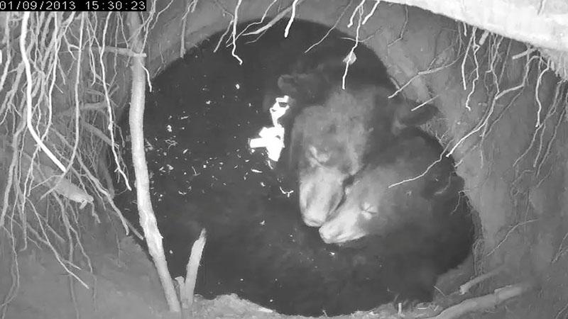 Jewel and Fern - Jan 9, 2013