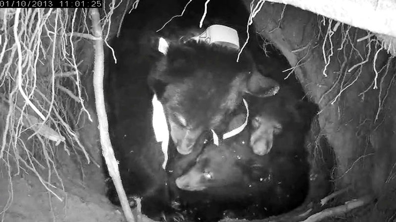 Jewel's family - Jan 10, 2013