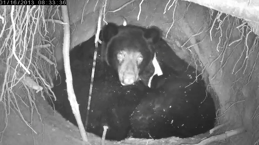 Patient Jewel - Jan 16, 2013