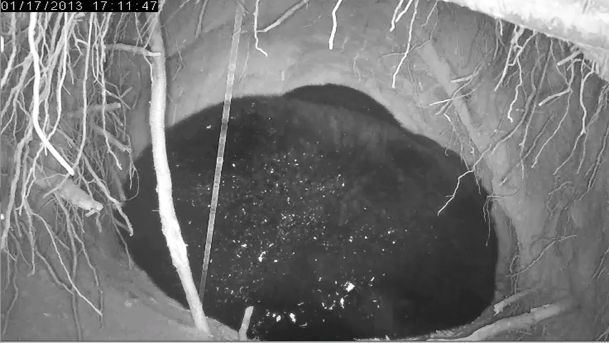 Jewel's family stays warm - Jan 17, 2013