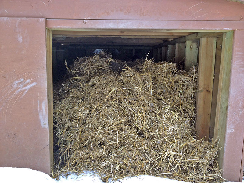 Ted's wall - Jan 30, 2013