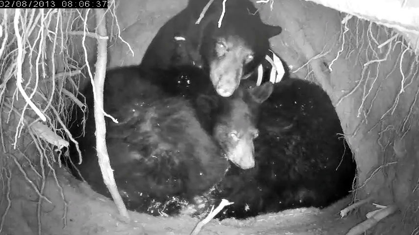 Jewel and Herbie - Feb 8, 2013