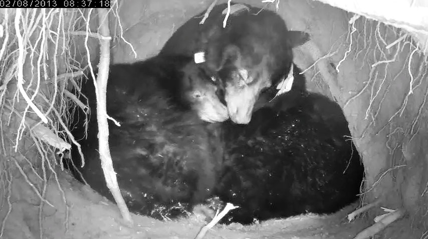 Jewel and Herbie - Feb 8, 2013