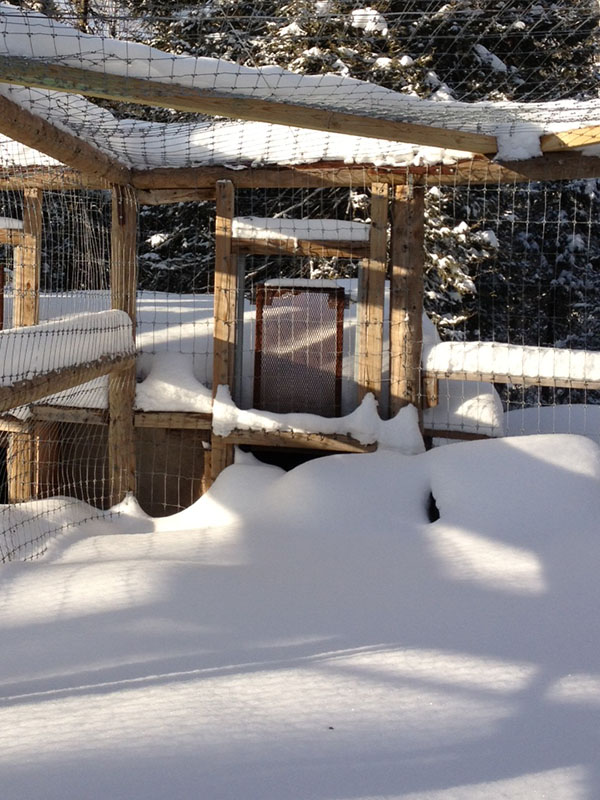 Lucky's barricaded den