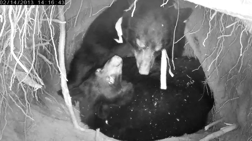 20130214 Jewel 14 16