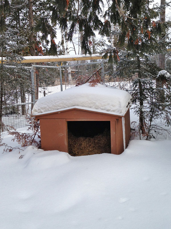 Ted's den today prior to install of den cam