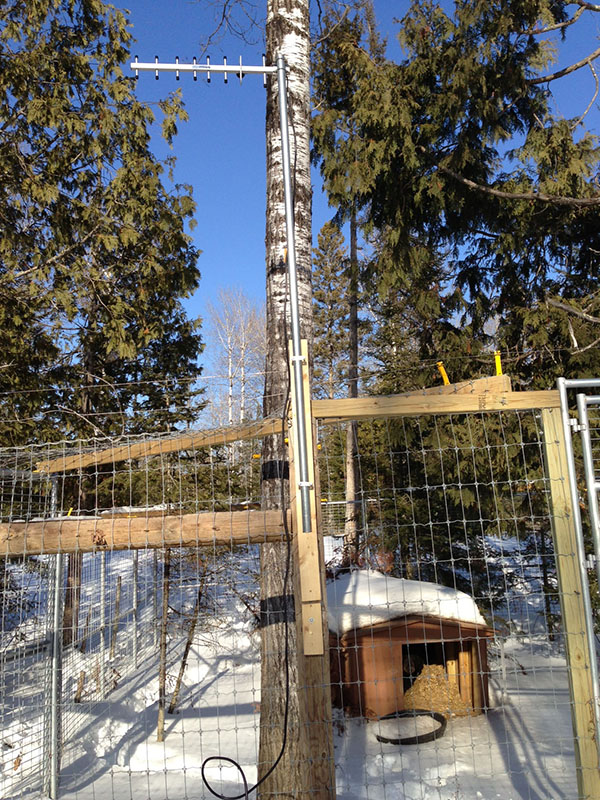 Den Cam antenna at Ted's den