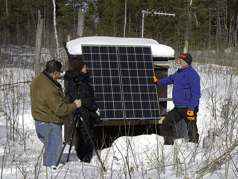 Verizon interviews Lynn at Lily's den shed